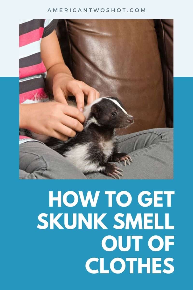 how to get skunk smell out of clothes