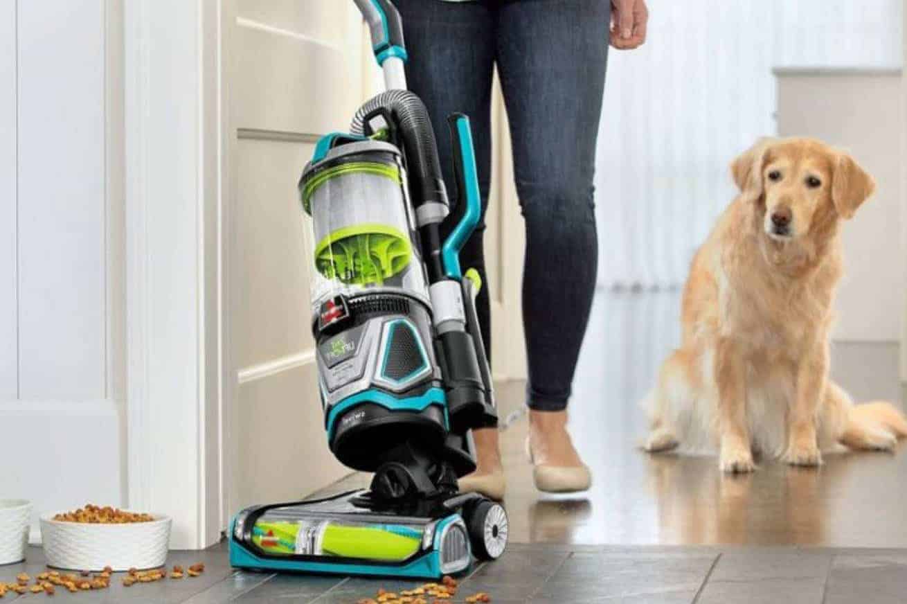 Vacuum your home regularly