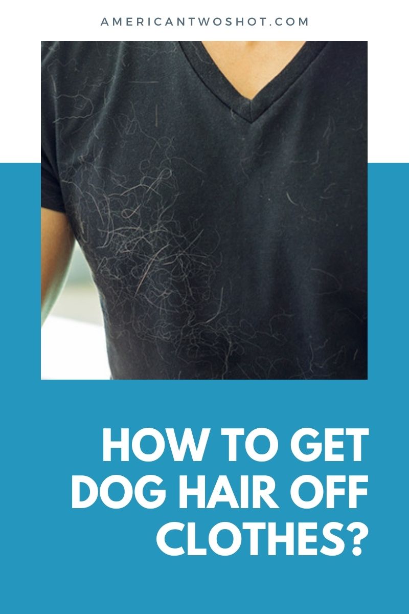 How to Get Dog Hair Off Clothes
