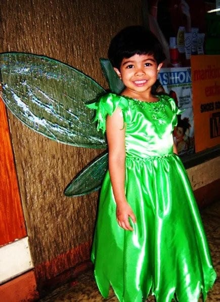 How To Make Tinkerbell Wings
