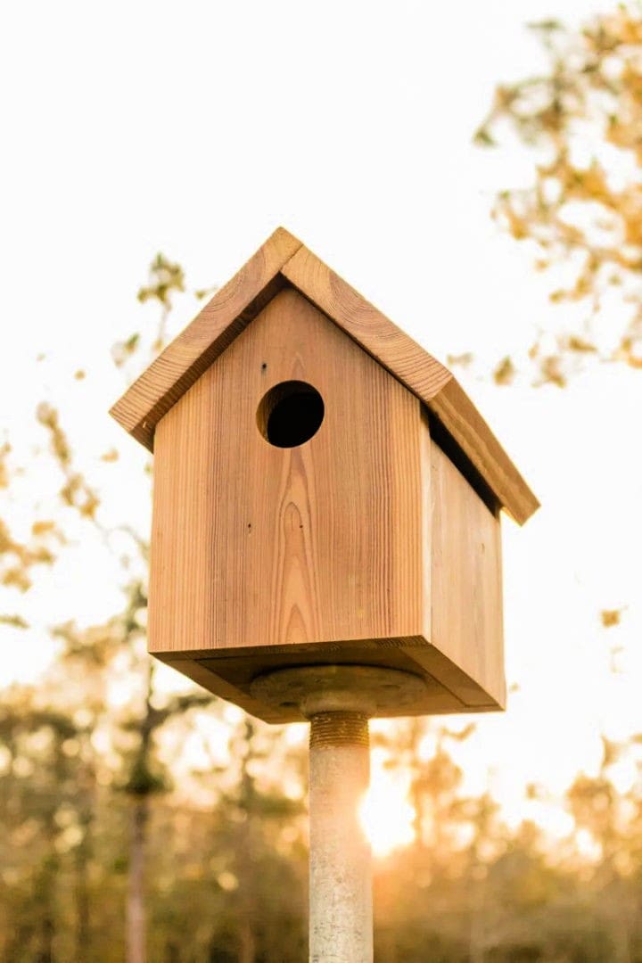 25 Free DIY Birdhouse Plans And Ideas